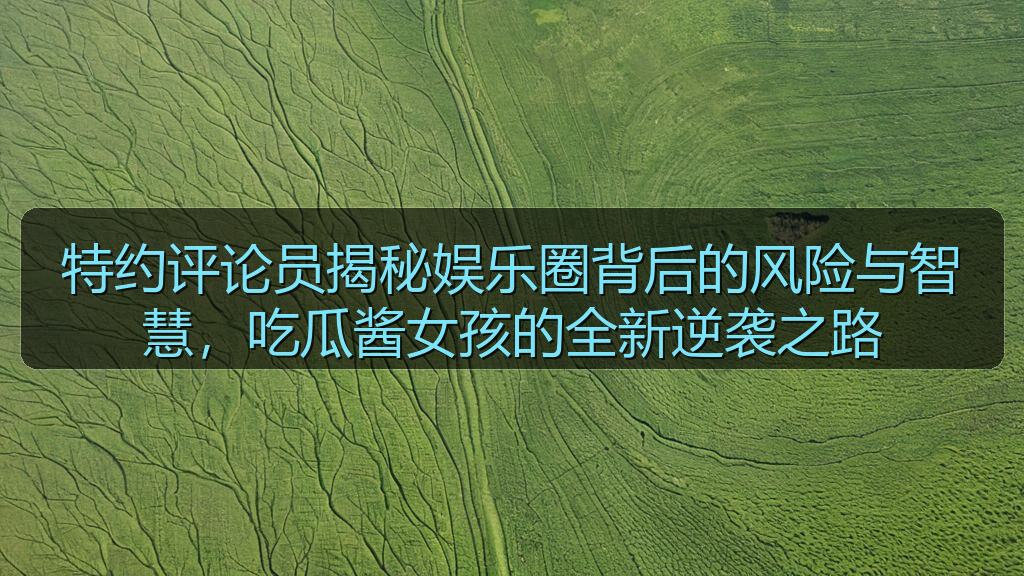 特约评论员揭秘娱乐圈背后的风险与智慧，吃瓜酱女孩的全新逆袭之路