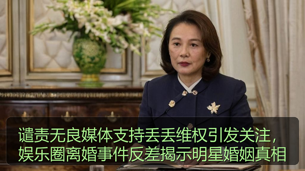 谴责无良媒体支持丢丢维权引发关注，娱乐圈离婚事件反差揭示明星婚姻真相