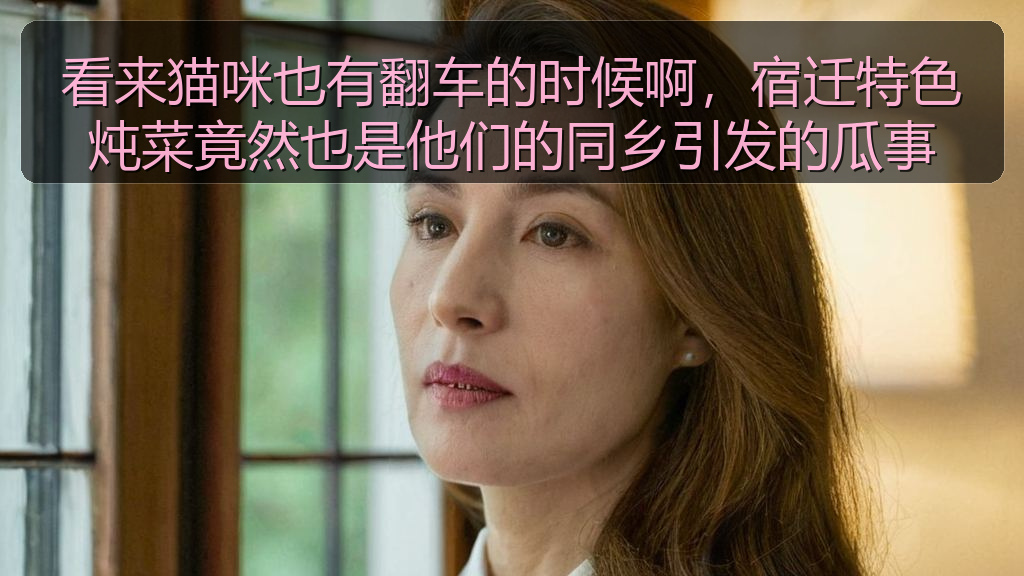 看来猫咪也有翻车的时候啊，宿迁特色炖菜竟然也是他们的同乡引发的瓜事