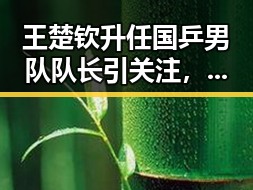 王楚钦升任国乒男队队长引关注,买了34层房却只建到32层引发热议