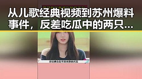 从儿歌经典视频到苏州爆料事件，反差吃瓜中的两只老虎引发的讨论