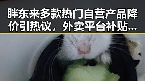 胖东来多款热门自营产品降价引热议,外卖平台补贴行为规范十条引关注